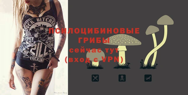 дживик Заволжье