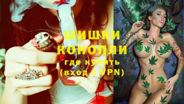 дживик Заволжье